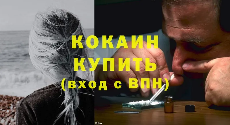 продажа наркотиков  Куртамыш  Cocaine Эквадор 